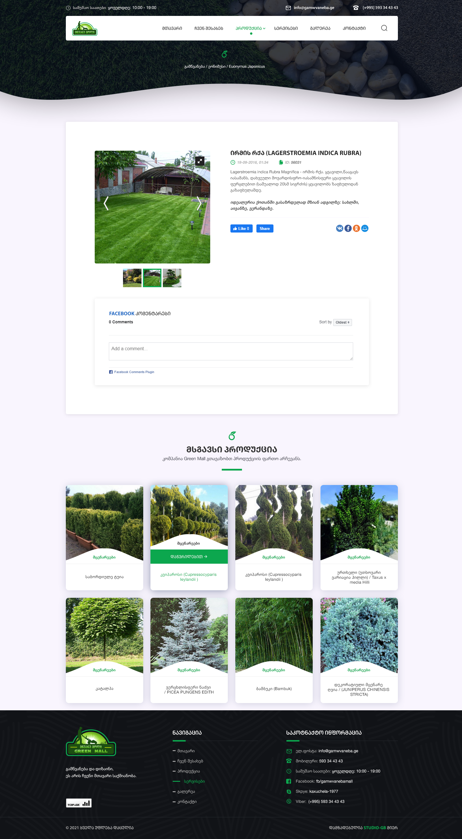 გამწვანება და დიზაინი